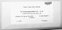 Image Associated With the Occurence